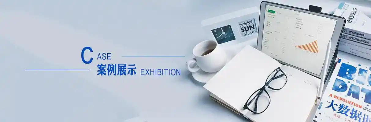 北碚区软件开发